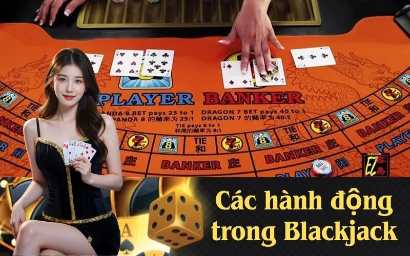 Các hành động trong Blackjack